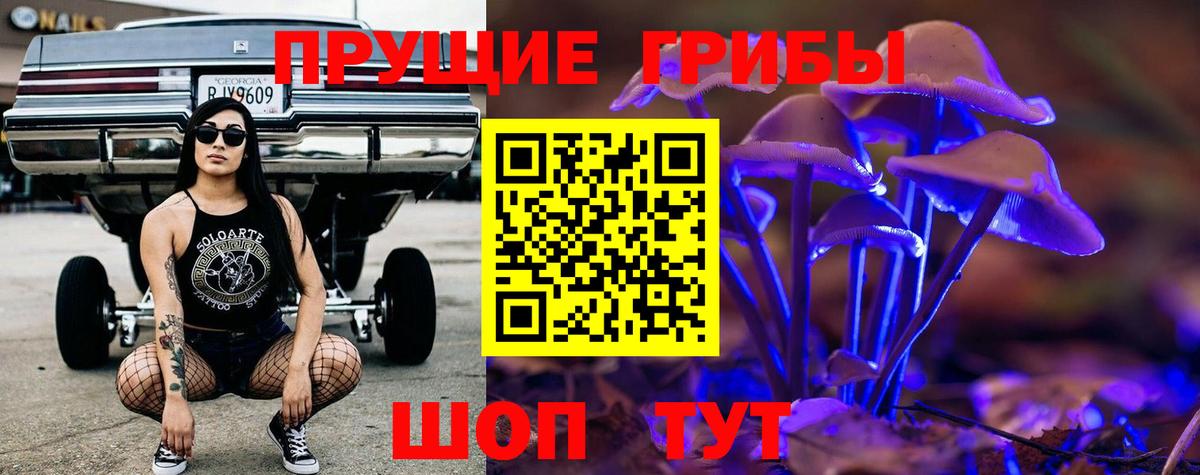 Ивантеевка  Галлюциногенные грибы MAGIC MUSHROOMS  цены   Вход с VPN 